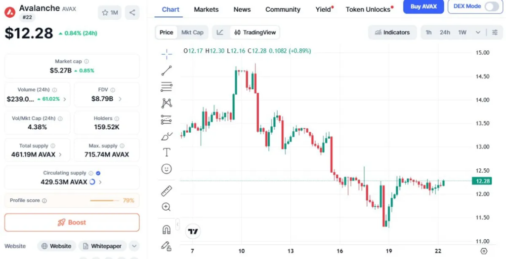 AVAX 12 Dolar Sınavında: Piyasada Kritik Bekleyiş