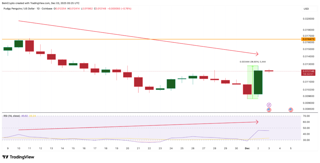 PENGU Rallisi, Momentum Zayıflarken İlk Sınavıyla Karşı Karşıya
