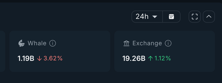 PENGU Rallisi, Momentum Zayıflarken İlk Sınavıyla Karşı Karşıya