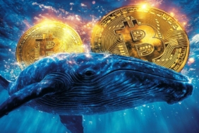 kripto-balina-birikim